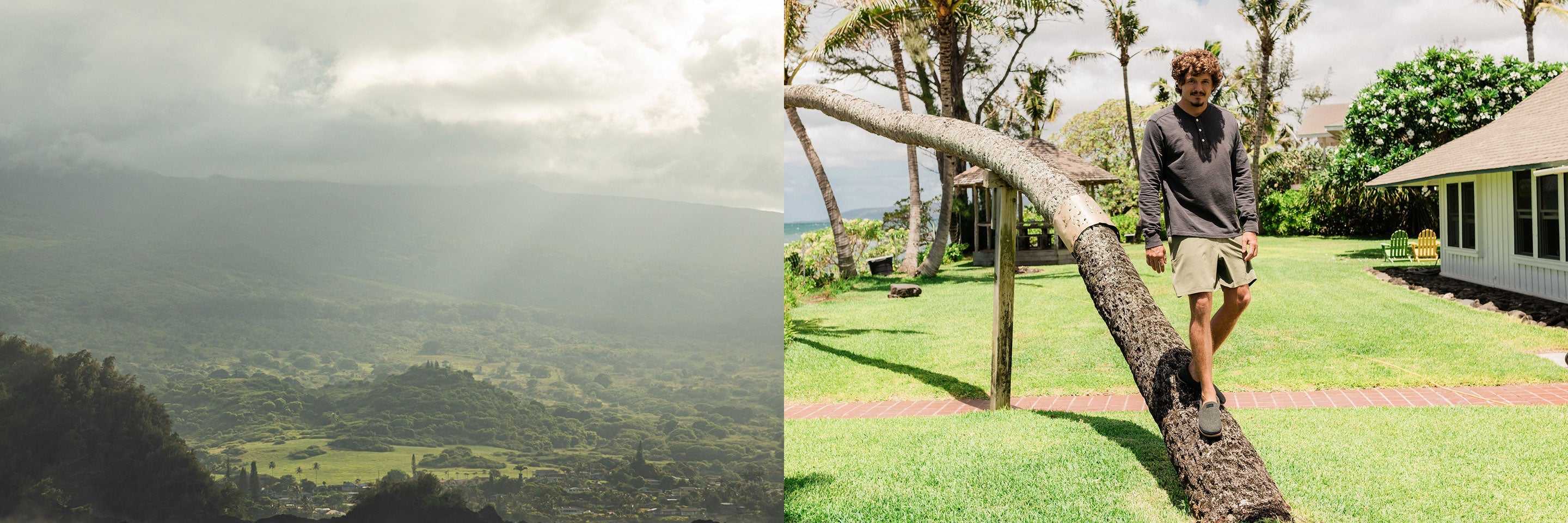 fallback text for an image